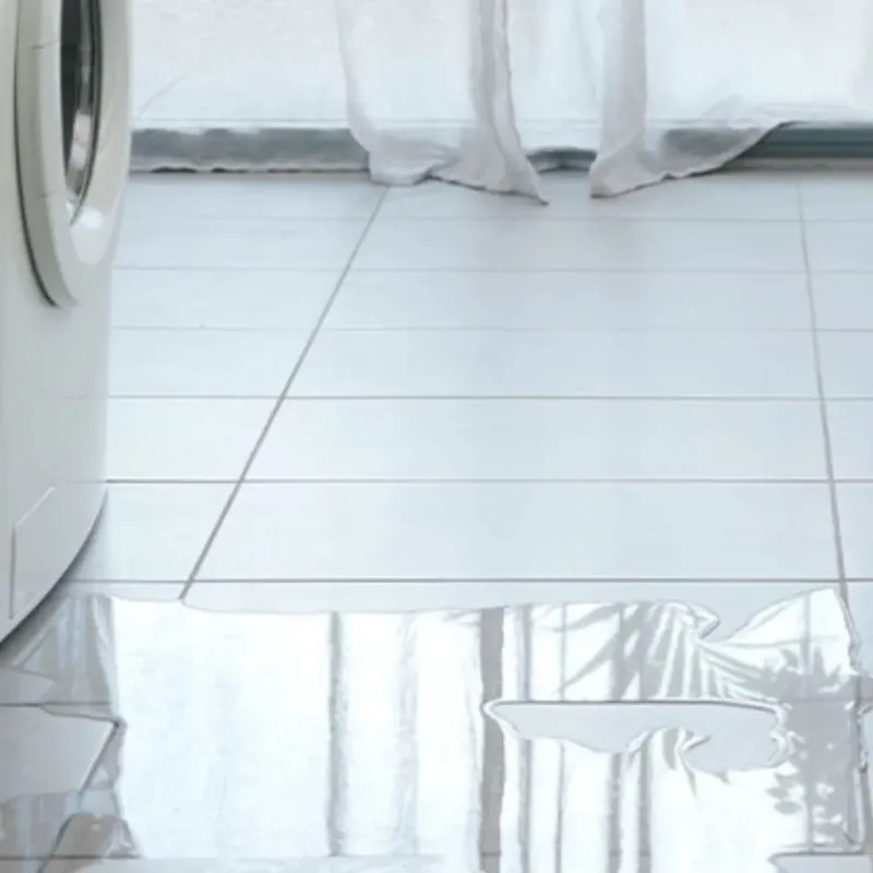Appliance Leak Cleanup in Washington, UT